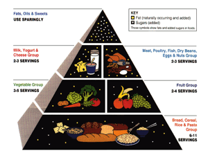 Dietary Recommendations for Children: A Recipe for Future Heart Disease? – Part 1